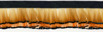 gold feather fringe