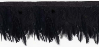 black raven feathers