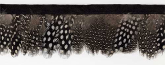 spotted guinea feathers